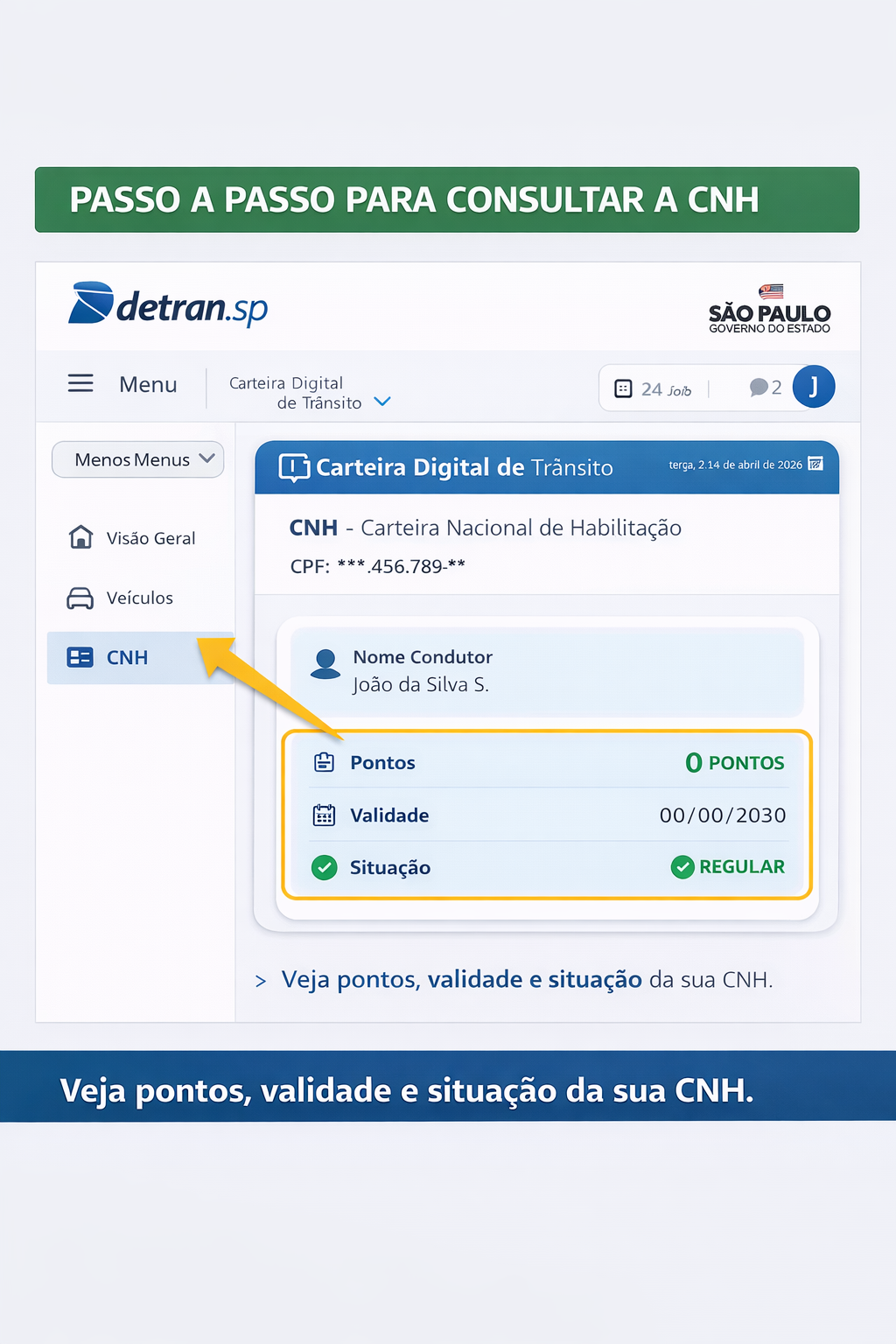 Exemplo ilustrativo de consulta de CNH